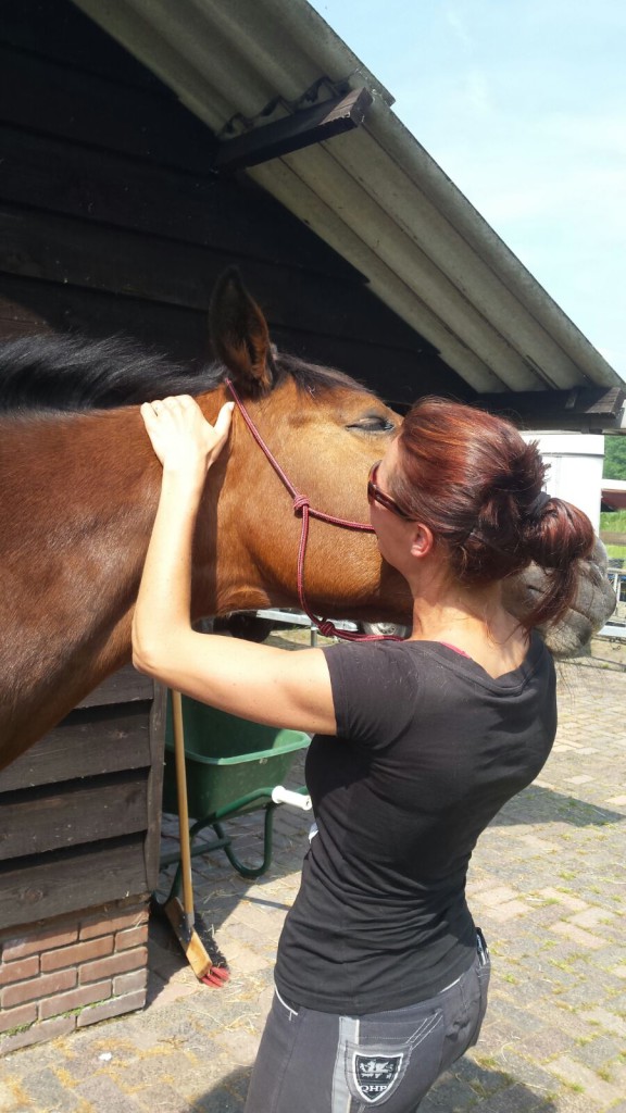 Unitas osteopathie paarden