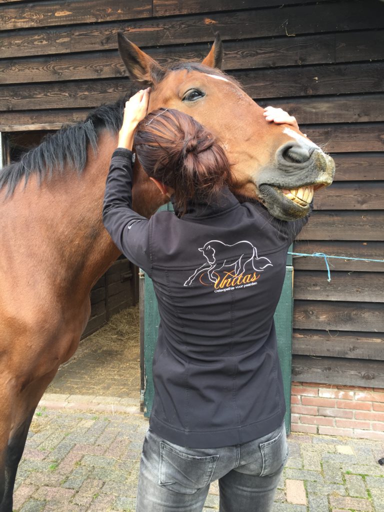 osteopathie paarden