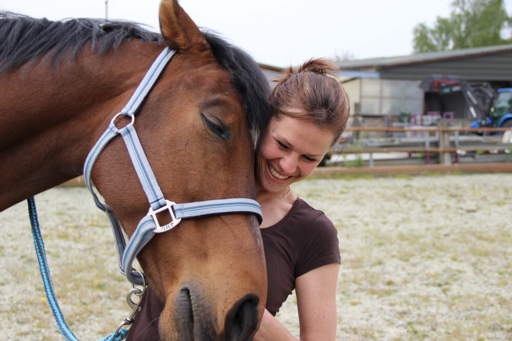 Unitas osteopathie paarden