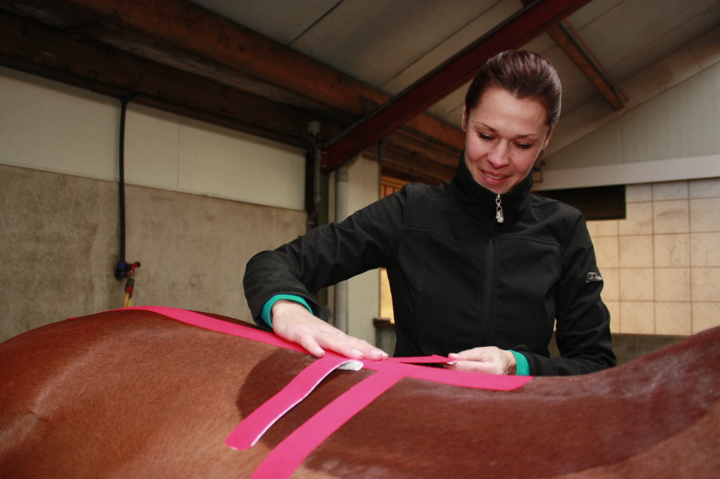 Medical Taping Osteopathie paard