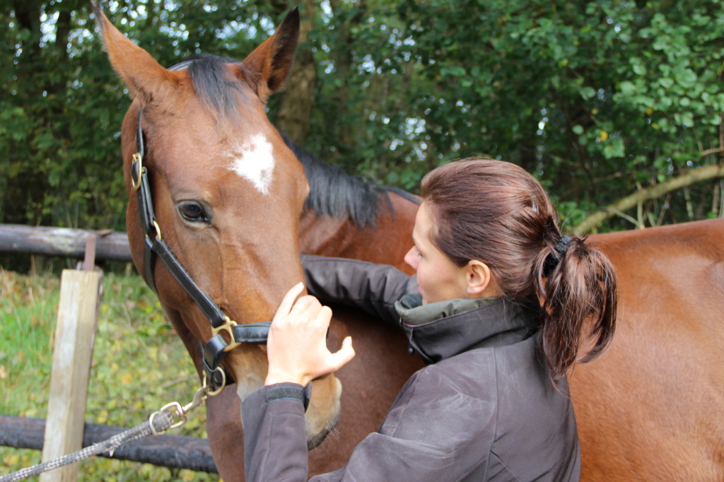 Linda Limburg Unitas osteopathie paarden