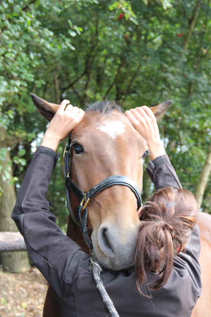 Osteopathie Unitas Overijssel