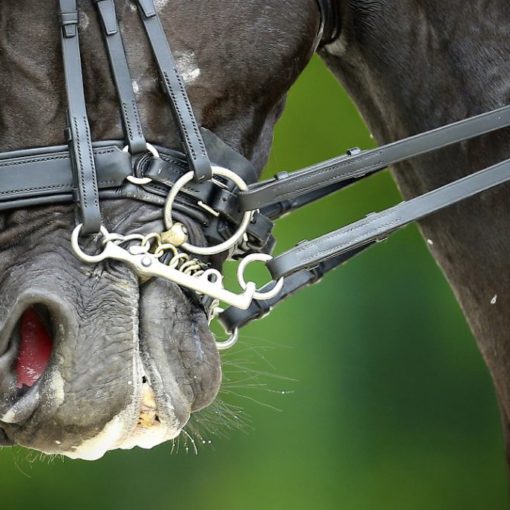 blog unitas osteopathie