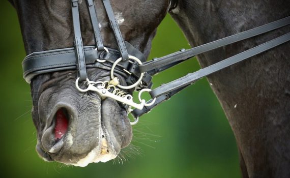 blog unitas osteopathie